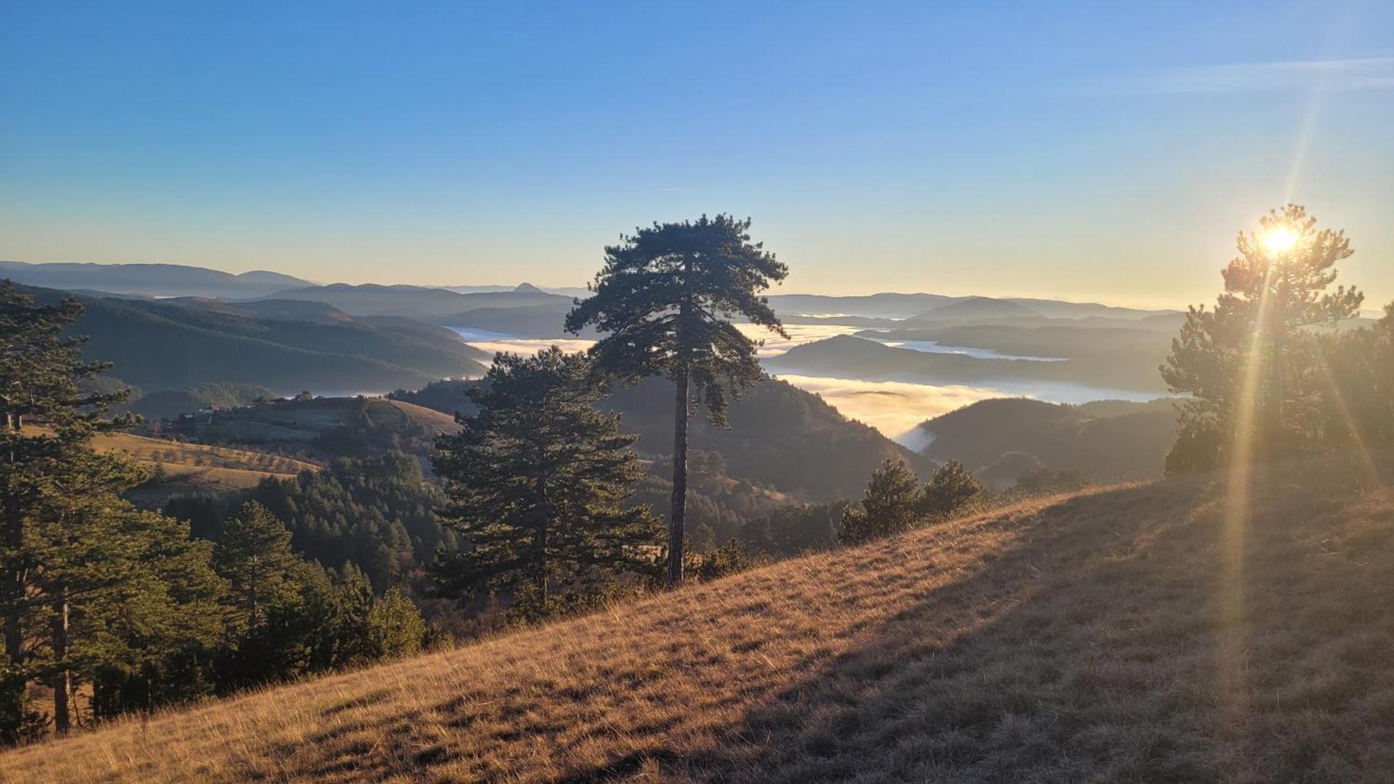 Zlatibor Apartmani Dm Tornik Exteriör bild