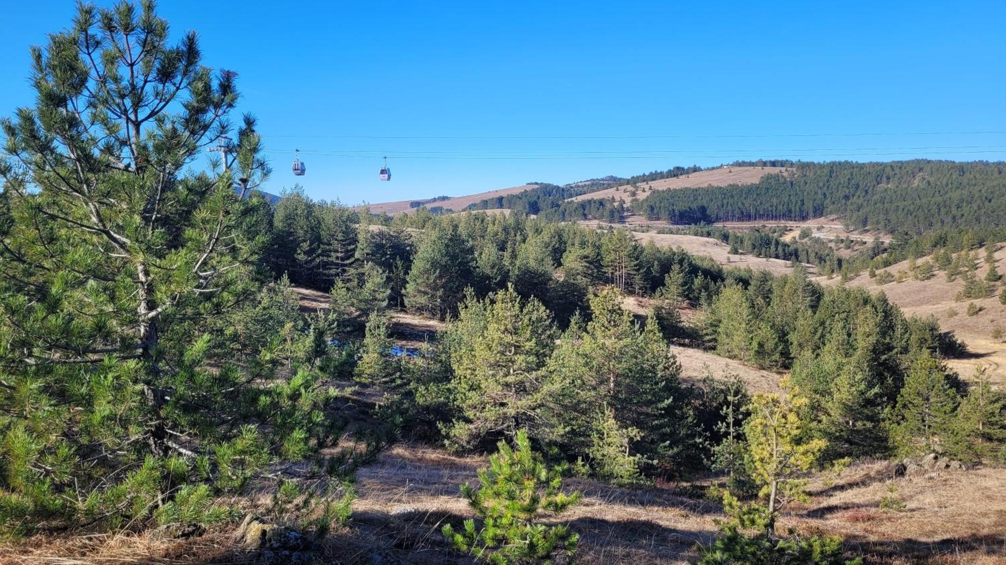 Zlatibor Apartmani Dm Tornik Exteriör bild