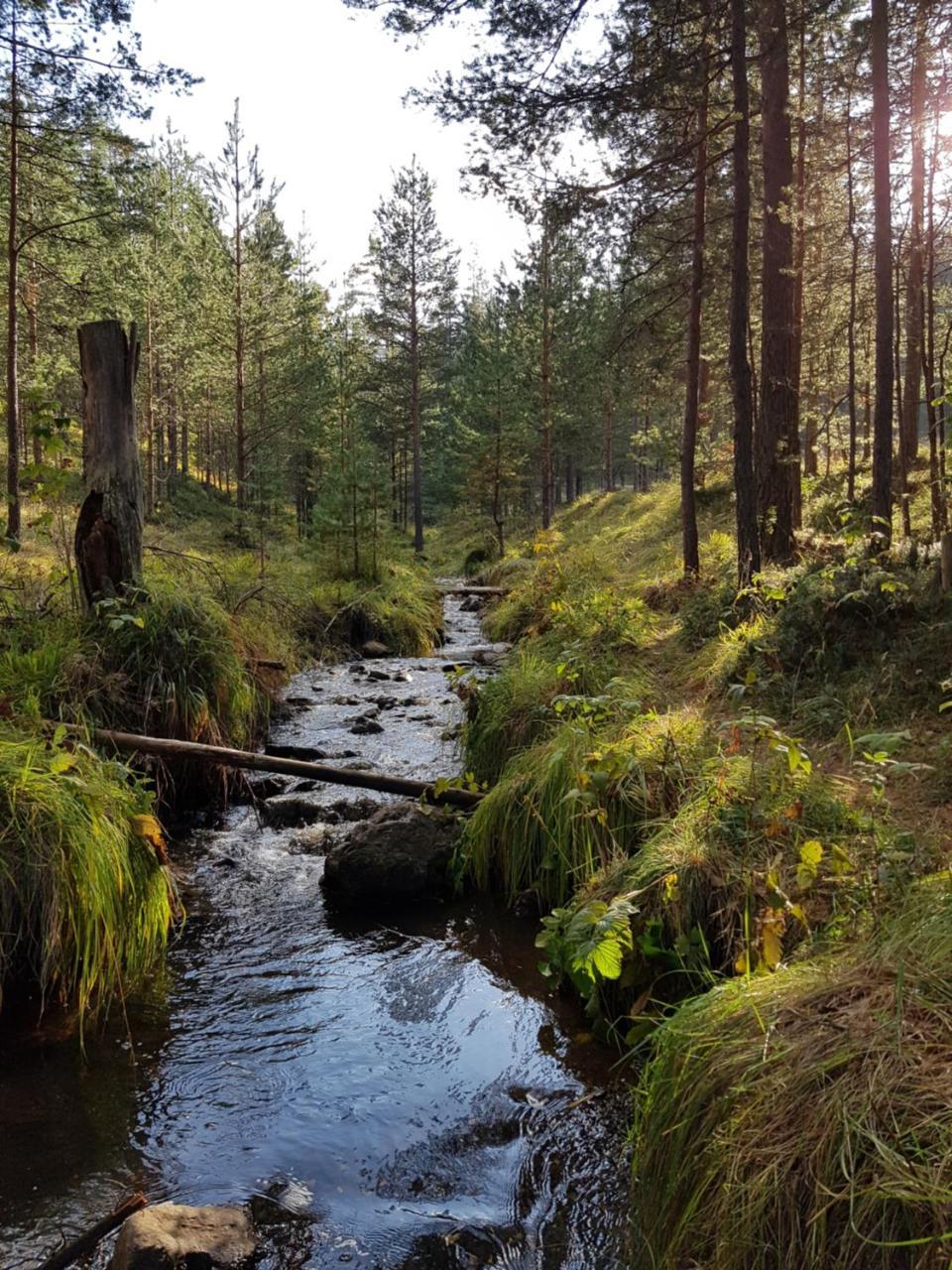 Zlatibor Apartmani Dm Tornik Exteriör bild