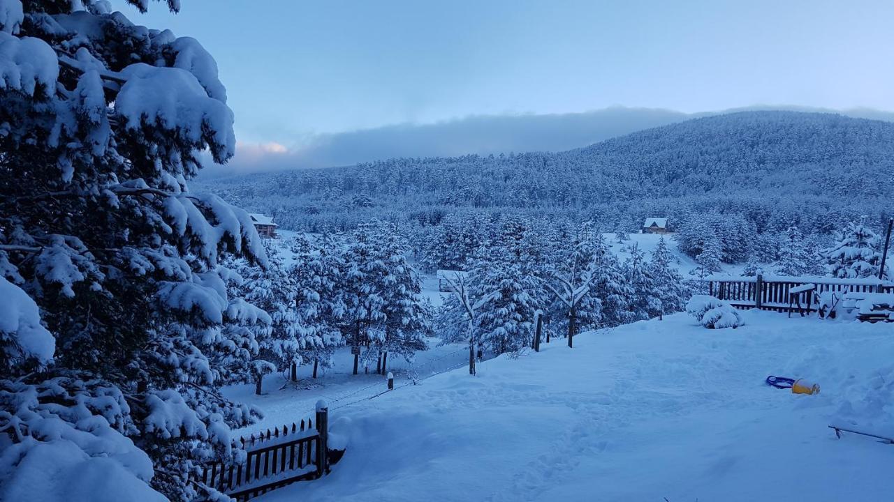Zlatibor Apartmani Dm Tornik Exteriör bild